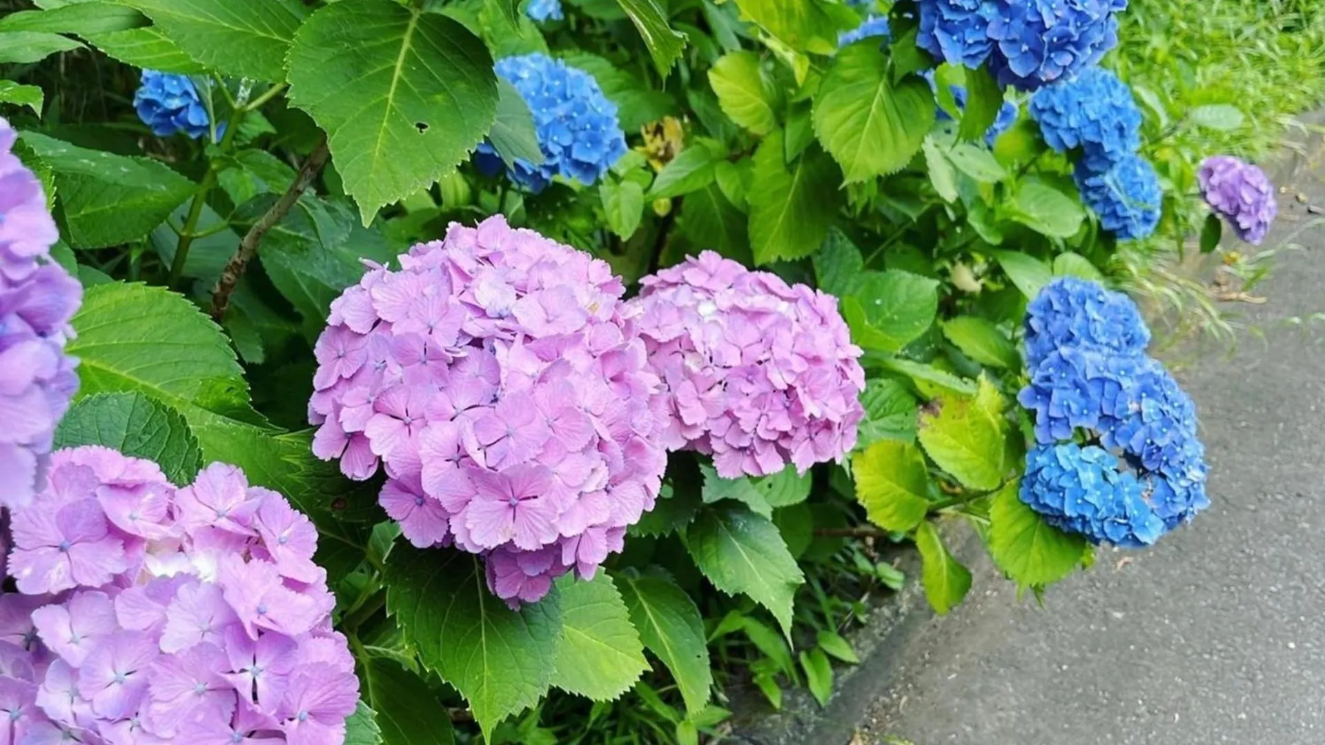 Yuraku Izu-Oshima - Vacation Stay 44725V Hotel